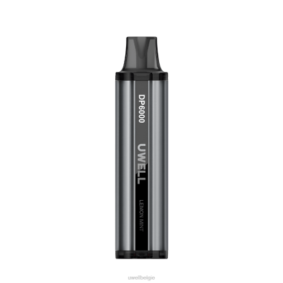 UWELL Disposable Vape - UWELL DP6000 wegwerp damp zwarte bessen druif RNNN329