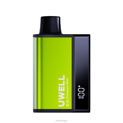 UWELL Vape Kopen - UWELL DL8000 wegwerp damp ananas munt RNNN284